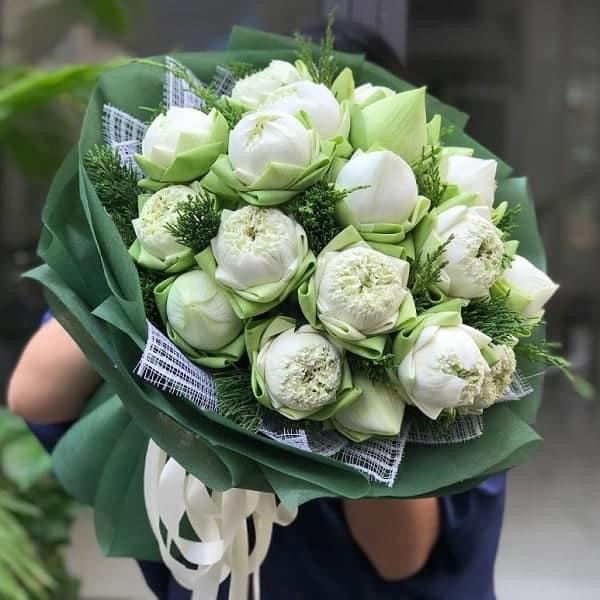 Bó Hoa Sen Trắng Thanh Khiết