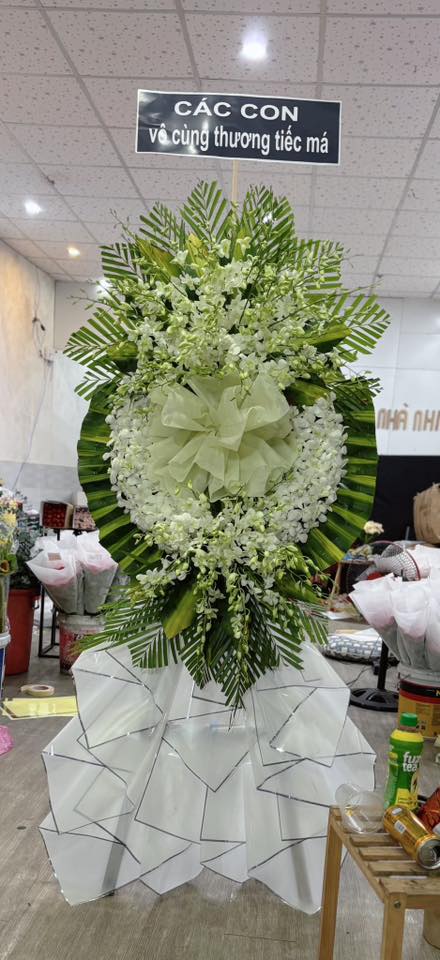 Kệ hoa lan hồ điệp & lan thái