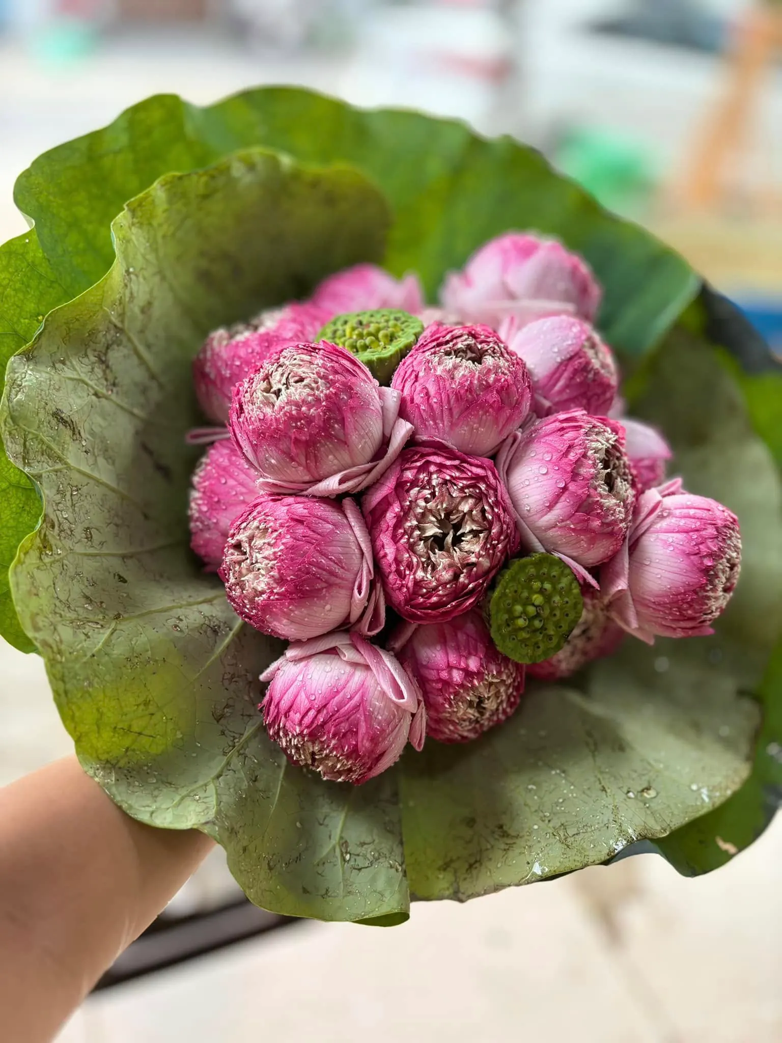 Ảnh 8 của Bó Hoa Cúc Trắng & Cúc - Hoa Tươi