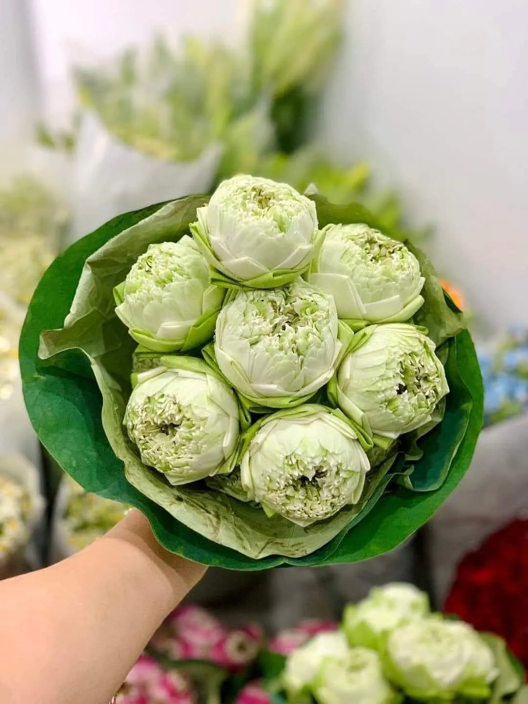 Ảnh 5 của Bó Hoa Sen - Hoa Tươi