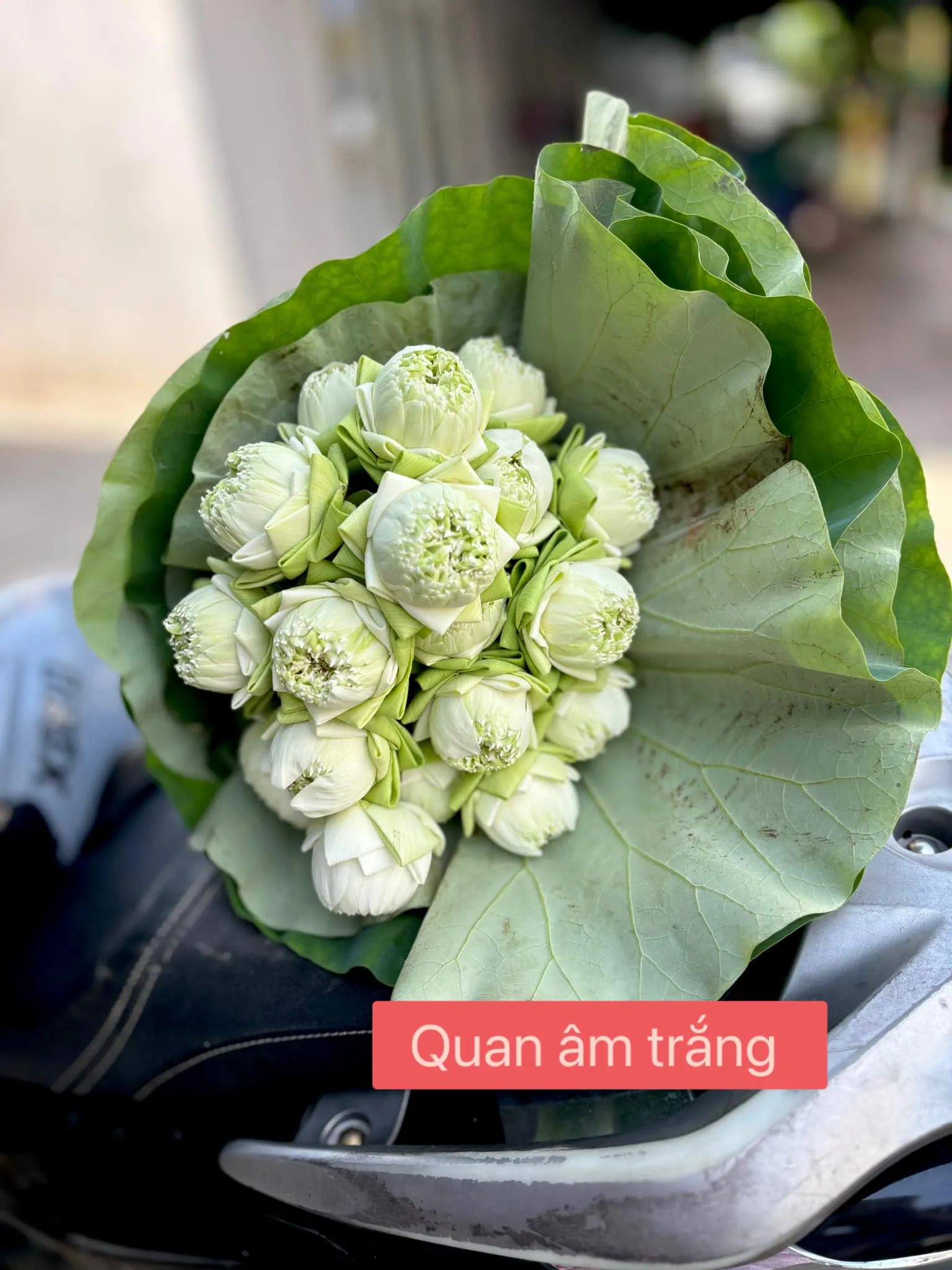 Bó Hoa Sen - Hoa Tươi