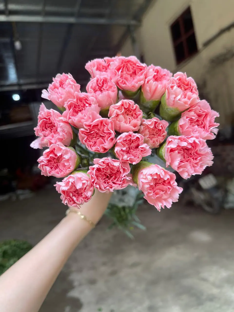 Bó Hoa Cúc - Hoa Tươi
