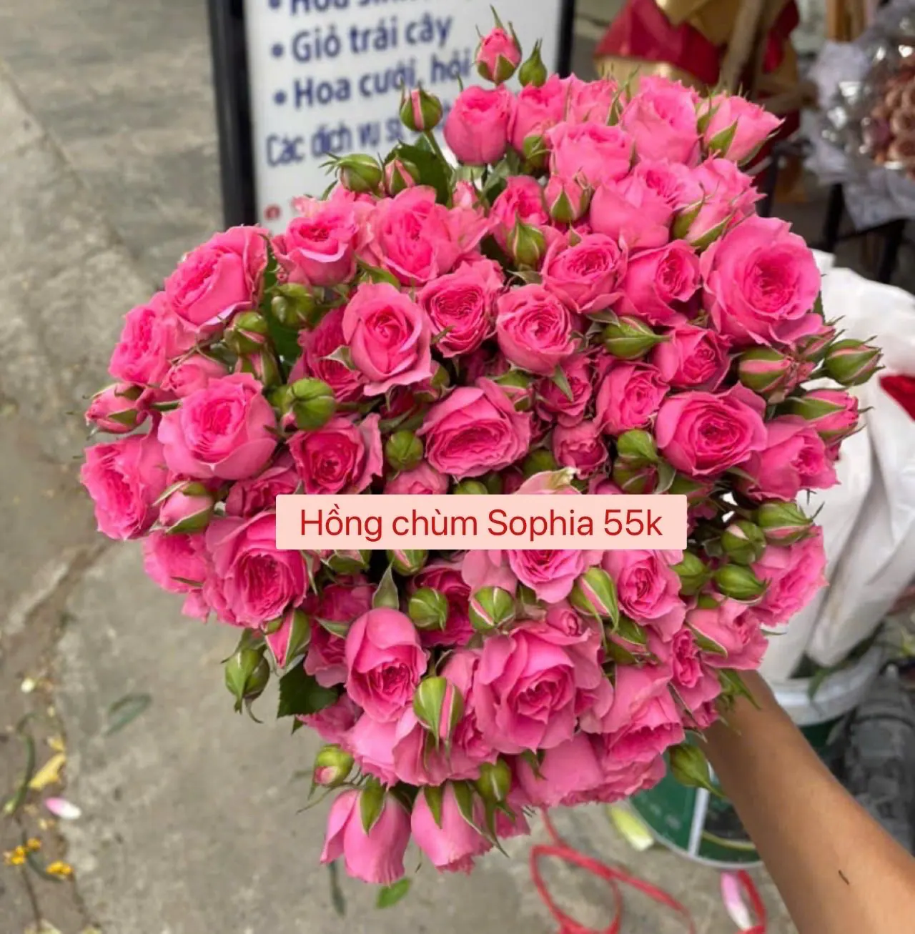 Ảnh 8 của Bó Hoa Tiên - Hoa Tươi