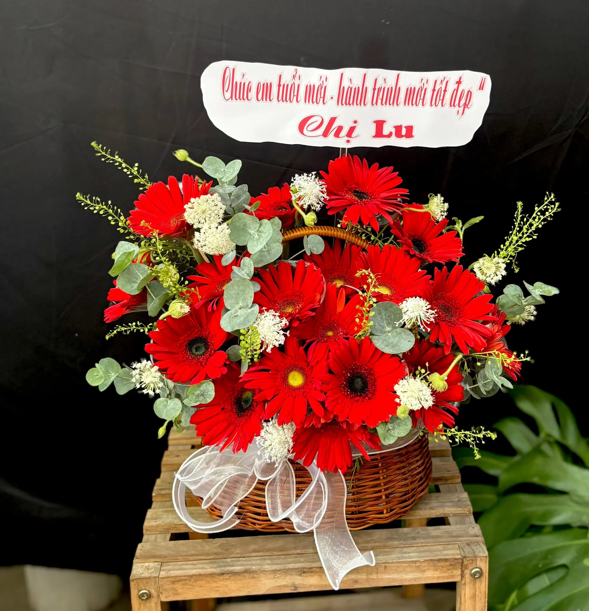 Giỏ Hoa Cúc Họa Mi & Bạch Đàn - Sinh Nhật