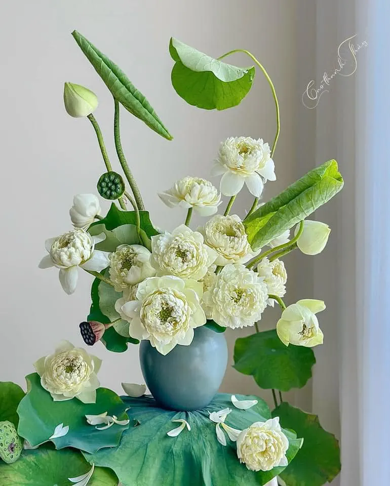 Ảnh 6 của Bình Hoa Sen - Hoa Tươi
