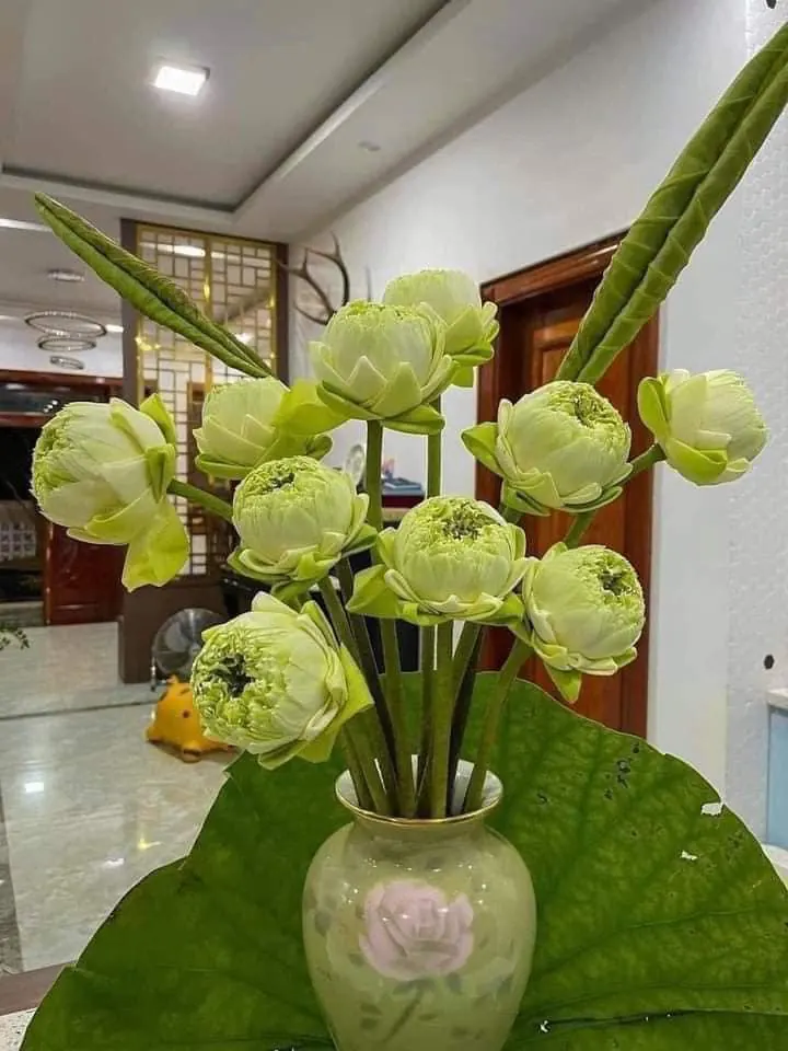 Ảnh 10 của Bình Hoa Sen - Hoa Tươi