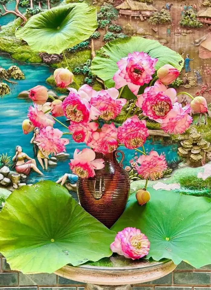 Bình Hoa Sen - Hoa Tươi
