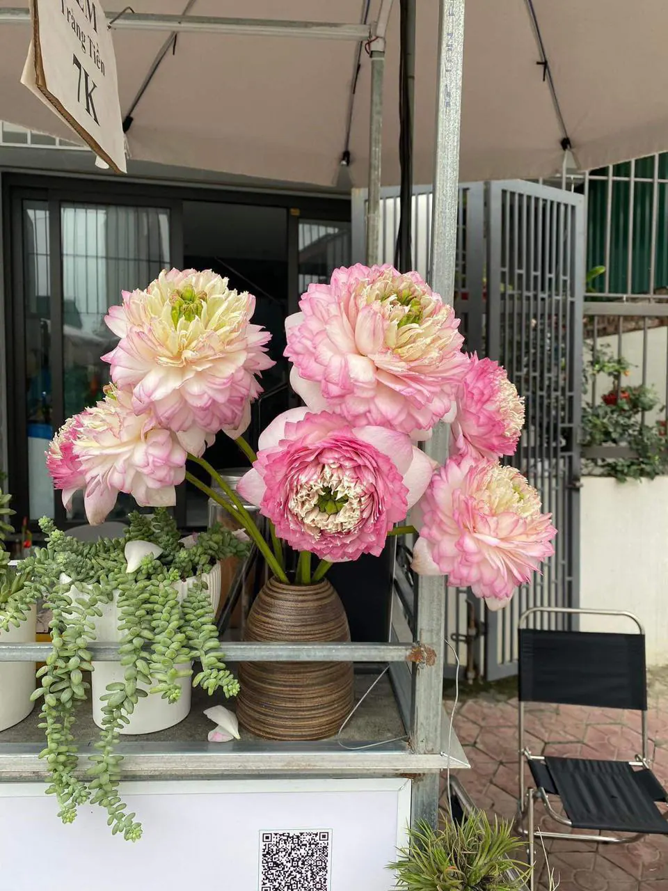 Ảnh 4 của Bình Hoa Sen - Hoa Tươi