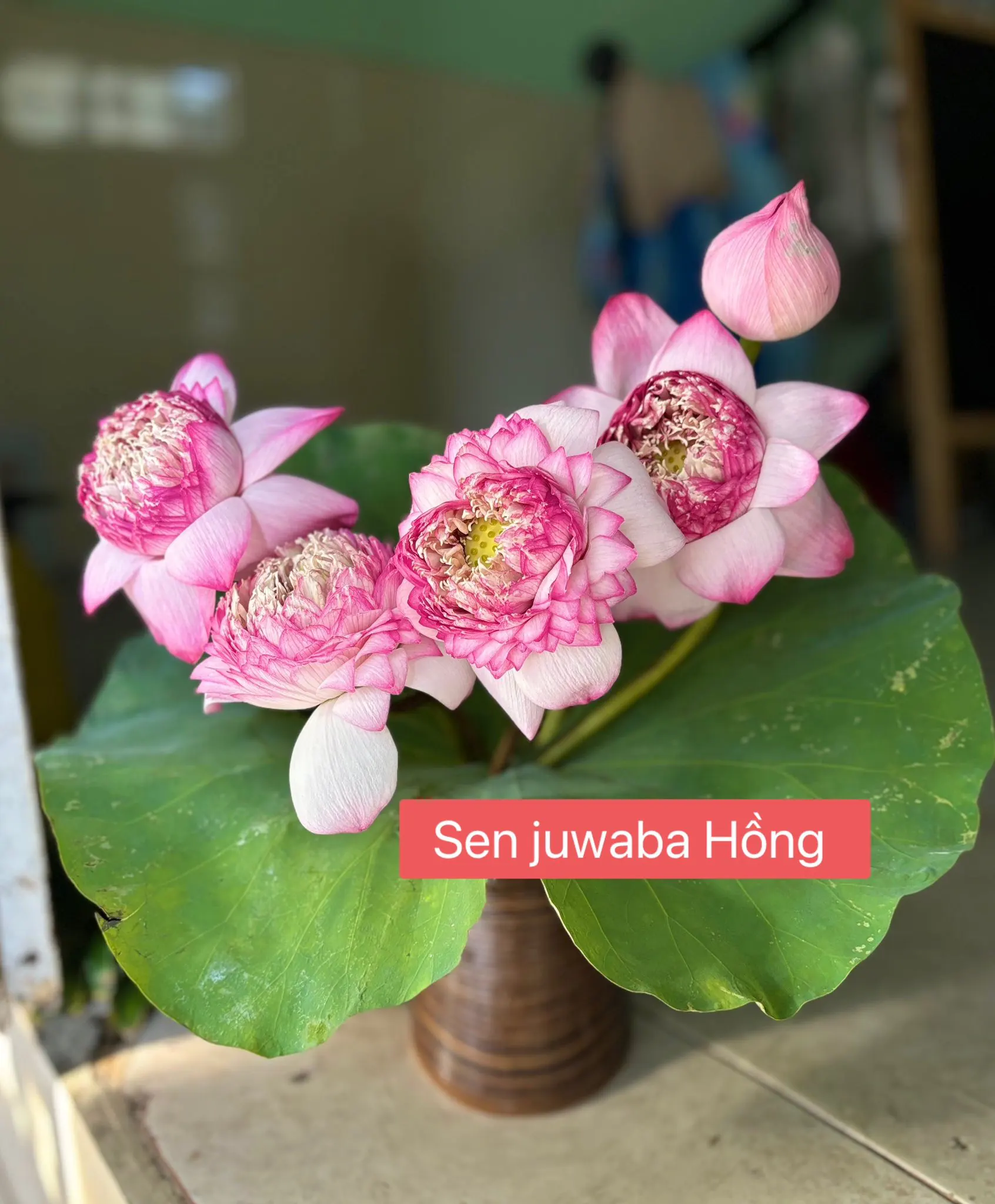 Ảnh 5 của Bình Hoa Cành Đào Hoa Tươi - Hoa Tươi