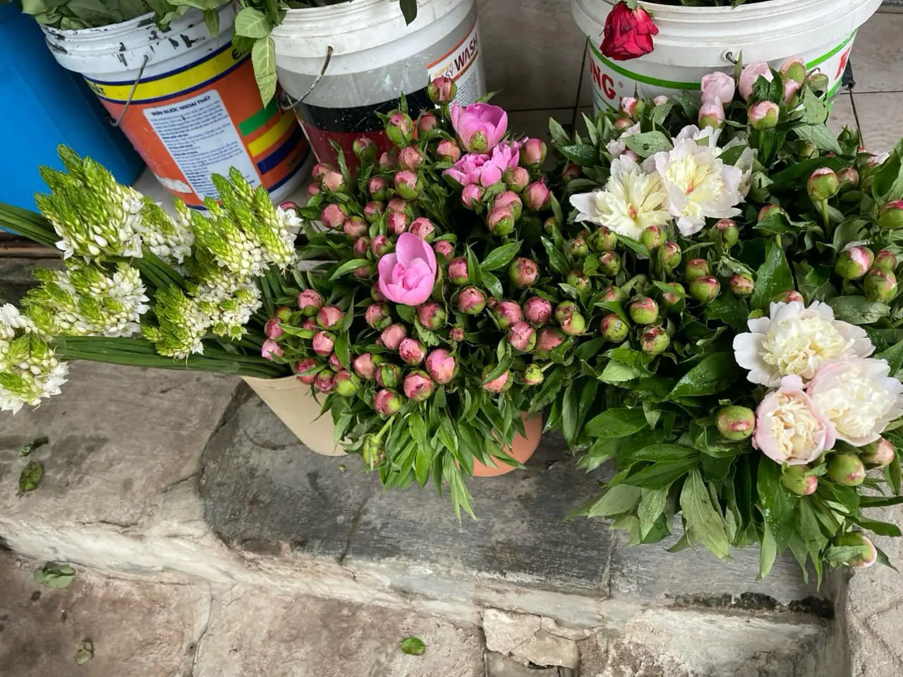 Sản Phẩm Hoa Hoa Tươi - Hoa Tươi