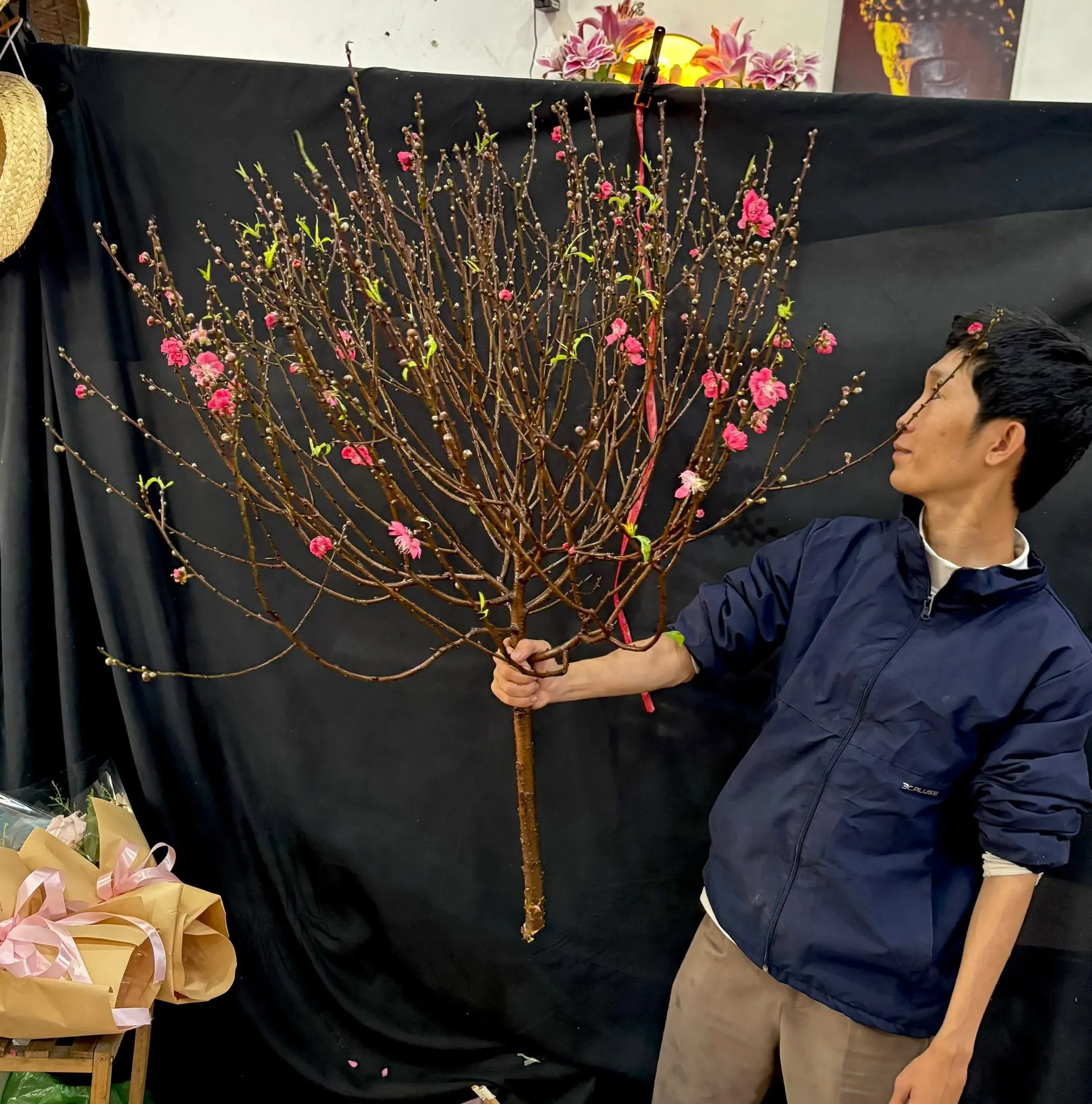 Sản Phẩm Hoa Cành Đào Hoa Tươi - Hoa Tươi