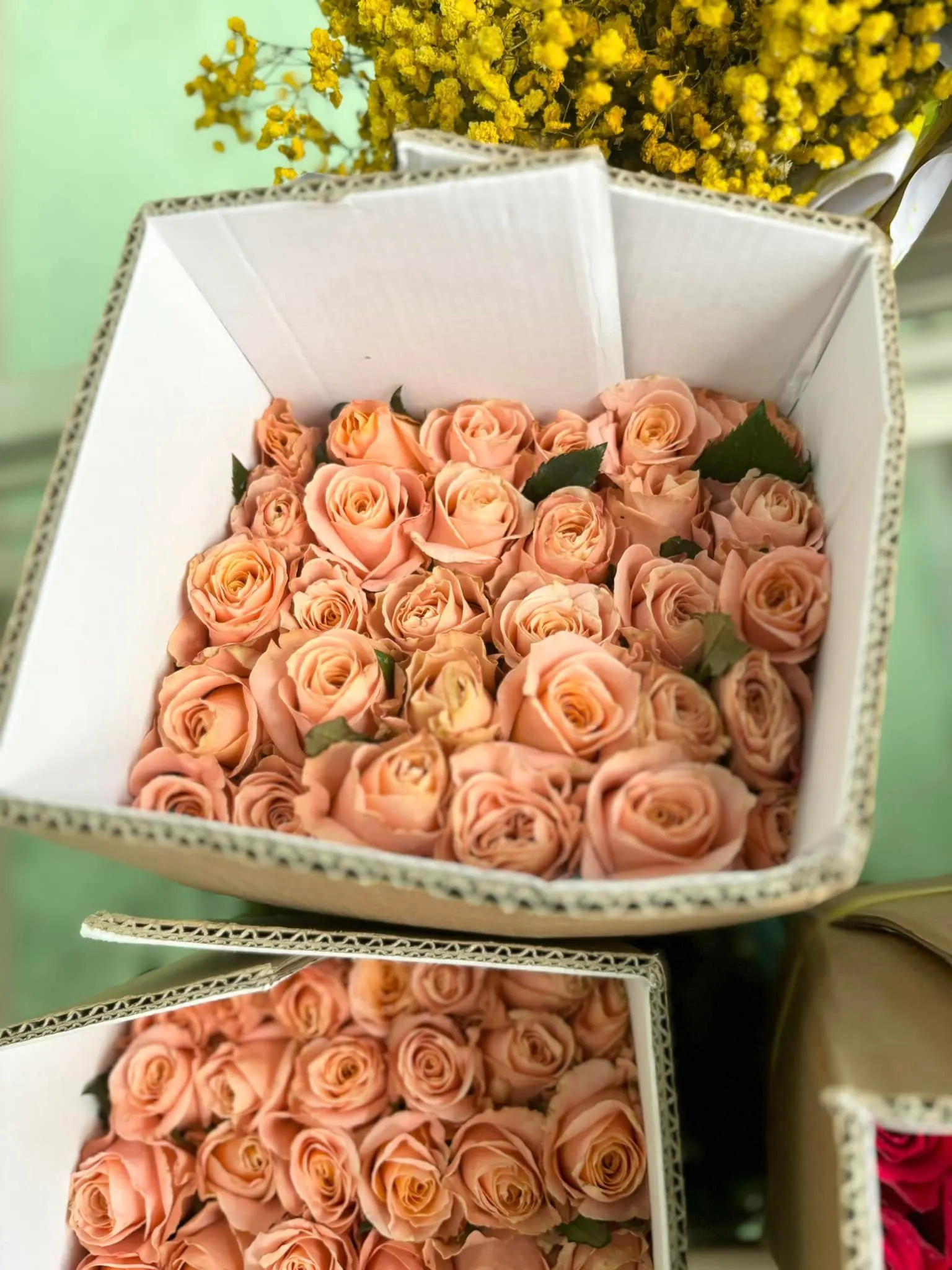 Hộp Hoa Hồng - Hoa Tươi