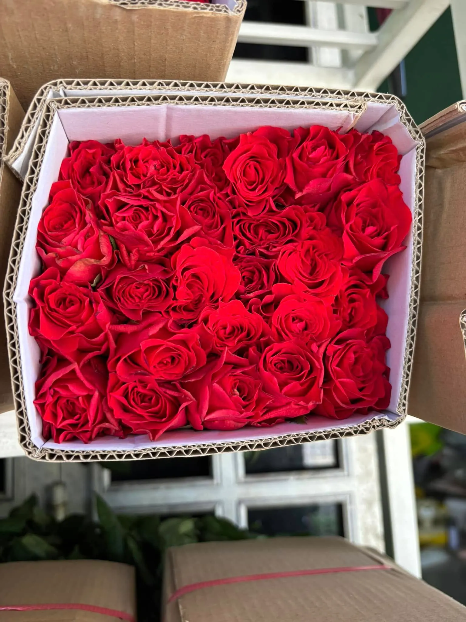 Hộp Hoa Hồng Đỏ & Hồng - Valentine