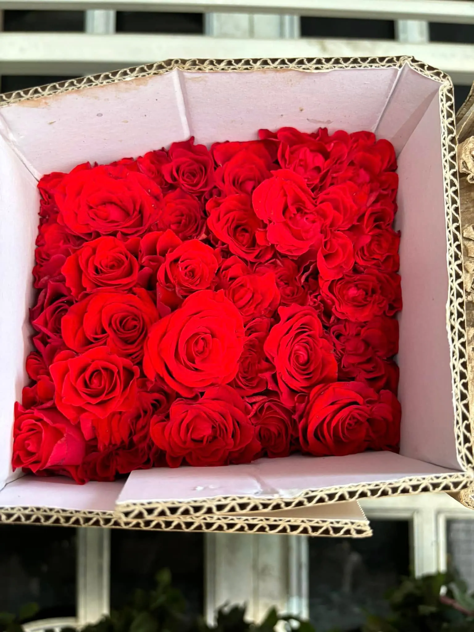 Ảnh 9 của Bó Hoa Hình Trái Tim Hoa Baby - Valentine