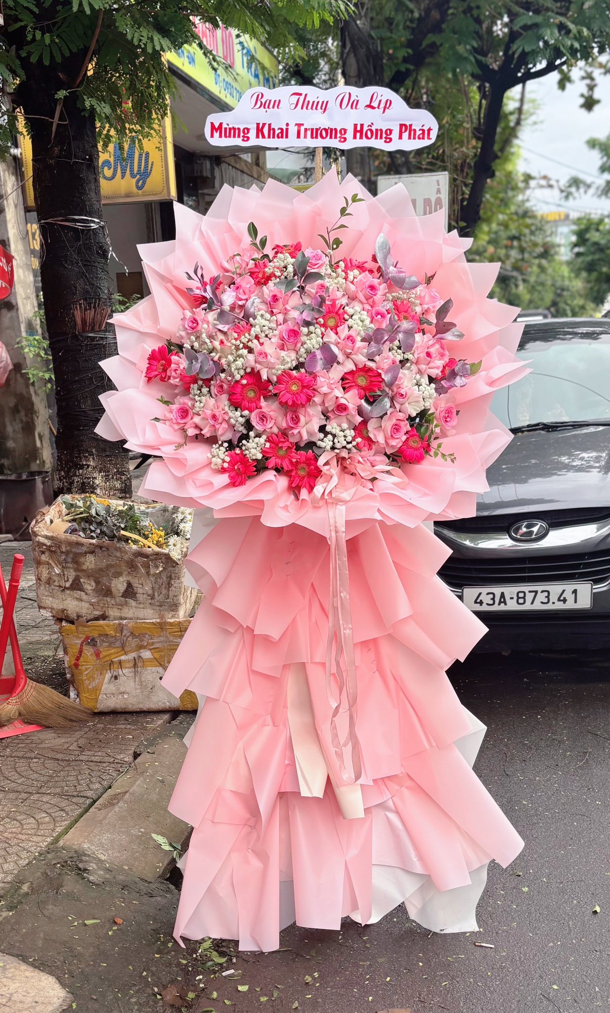 Kệ hoa hồng phấn & đồng tiền